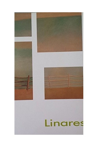 Linares. Human Landscapes. Selective exhibition. CAMCO. Centro de Arte Ciudad de Oviedo